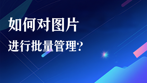如何对图片进行批量管理？视频教程
